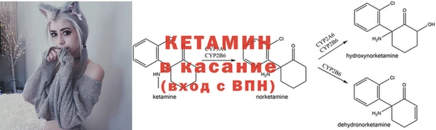 спиды Новодвинск