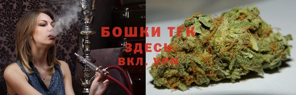 спиды Новодвинск
